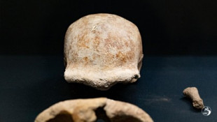 Hallados restos de nueve neandertales en la cueva de Guattari [IT]