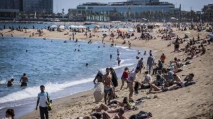 Dos parejas de hombres gays sufrieron ayer sábado por la noche una paliza homófoba en la playa del Somorrostro en Barcelona