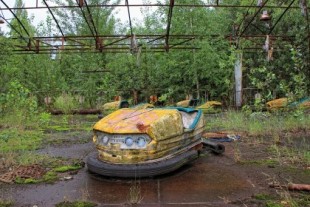 El hongo de Chernóbil que nos descubrió una "nueva forma de fotosíntesis" y que acabó en la Estación Espacial Internacional