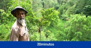Sadiman, el hombre que creó un bosque él solo en uno de los climas más áridos de Indonesia