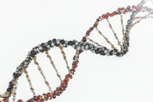 Un nuevo descubrimiento muestra que las células humanas pueden convertir secuencias de ARN en ADN