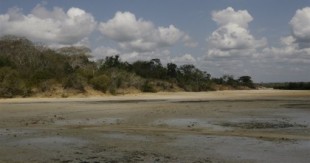Los yacimientos del Pleistoceno en Kilwa, Tanzania