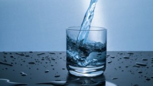Los humanos bebemos más agua que la mayoría de mamíferos y nuestra sed condicionó nuestra evolución