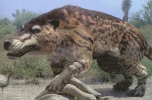 Andrewsarchus, el mamífero terrestre carnívoro más grande que ha existido