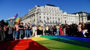 Harry Potter, Billy Elliot o Friends estarán prohibidas para menores en Hungría por la ley contra la homosexualidad