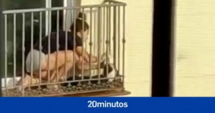 Investigan el maltrato animal a un perro al que dejaban en el balcón, al sol y con calcetines en la boca para que no ladrara