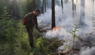 Arde Siberia: Rusia moviliza al ejército contra el fuego salvaje que devora ya 1,4 millones de hectáreas en Yakutia