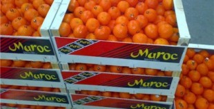 Alertan a los consumidores por alto contenido de pesticida en naranjas de Marruecos