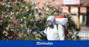 El alcalde de Coria del Río, en Sevilla, alerta de la "proliferación" de mosquitos que transmiten el virus del Nilo