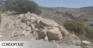 Denuncian la destrucción de un yacimiento del siglo I para plantar olivos