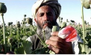 "En Afganistán no ha ganado el islamismo, ha ganado la heroína"