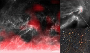Un sistema estelar muestra como nuestro sistema solar pudo adquirir sus elementos radiactivos