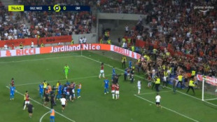Decenas de ultras del Niza bajan al campo a pegar a los jugadores del Marsella