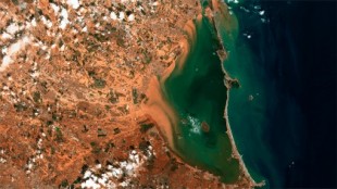 Mar Menor: Historia profunda de un desastre