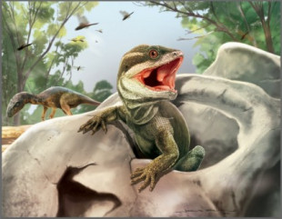 Investigadores describen una nueva especie fósil que representa al antiguo precursor de la mayoría de los reptiles modernos [ENG]