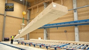 Cómo se fabrica la madera de contrachapado en una megafactoría