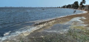 WWF y ANSE exigen eliminar 8.500 hectáreas de cultivos de regadío «ilegal» alrededor del Mar Menor