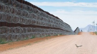 El autor que captó a un correcaminos "bloqueado" en el muro fronterizo entre México y EE.UU. gana el premio al Fotógrafo de Aves 2021