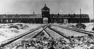 'Si esto es un hombre': las lecciones de Primo Levi 70 años después de sobrevivir a Auschwitz