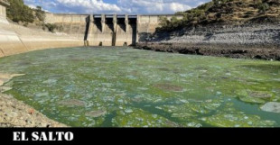 El negocio hidroeléctrico llena de lodo verde el corazón del parque nacional de Monfragüe