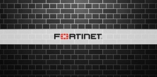 Hackers filtran las contraseñas de 500.000 cuentas VPN de Fortinet [ENG]