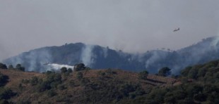 Incendio en Málaga: «El incendio está fuera de nuestra capacidad de extinción, es un monstruo hambriento y hay que confinarlo»