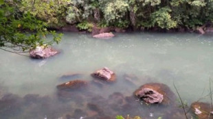 Vecinos alertan del aspecto blanquecino del río en las Fragas do Eume