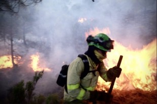 El Gobierno de Moreno Bonilla sólo ha asignado el 0,8% de las ayudas previstas para prevención de incendios forestales