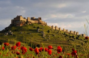 Una granja de 4.200 cerdos asedia el histórico castillo soriano de Gormaz