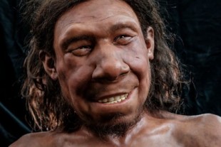 Reconstruyen el rostro de Krijn, un neandertal que vivió hace 70,000 años [ENG]