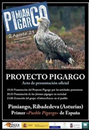 Pigargos en Asturias:¿nos hemos vuelto locos?