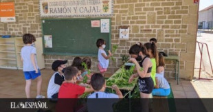 En el colegio más feliz de España aprenden Historia y Matemáticas al cocinar espinacas: sus 3 secretos