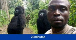 Muere en brazos de su cuidador la gorila que posó en varias 'selfies' con guardias antifurtivos