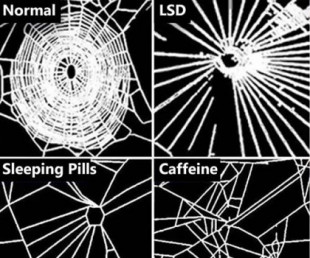 Cuando la NASA le dio medicamentos a las arañas para ver cómo afectaban sus redes, 1995 (ENG)