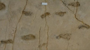 Huellas de Trachilos: la controvertida evidencia fósil que desafía lo que sabemos sobre los orígenes de la humanidad