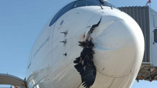 Un buitre abre un agujero en un avión comercial antes de aterrizar en Barajas