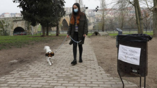 Detienen en Ourense al presunto responsable de colocar cebos con alfileres para dañar a perros
