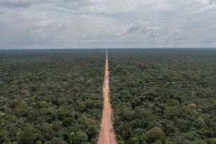 Viaje por la BR-319: carretera hacia la destrucción de la Amazonia