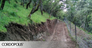 La familia Koplowitz paga una multa por abrir un camino sin licencia en el corazón de Sierra Morena