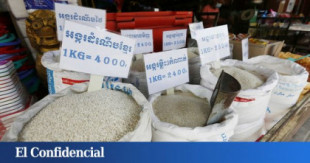 Salvar al soldado arroz: la crisis del fertilizante acecha al grano que alimenta al mundo