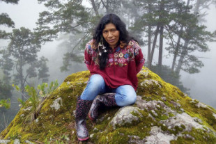 Desaparecida Irma Galindo Barrios, la voz contra la deforestación en la mixteca oaxaqueña