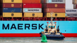 Las increíbles ganancias de las grandes navieras en medio de la "crisis de los contenedores"