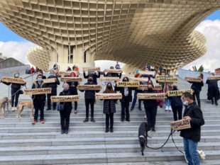 Concentración en Sevilla para visibilizar los "más de 50.000 galgos" que se abandonan anualmente en España