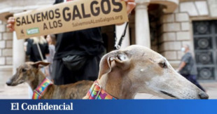 El PSOE frena la ley de protección animal de Unidas Podemos para defender la caza