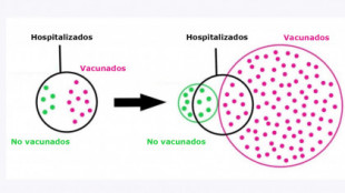 El gráfico con el que Salud explica los ingresos de vacunados en Asturias