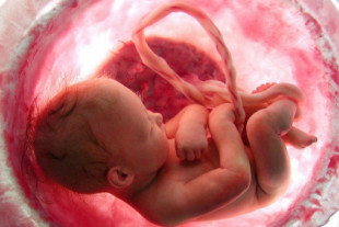 Células del bebé pasan a la madre y ayudan a reparar sus órganos
