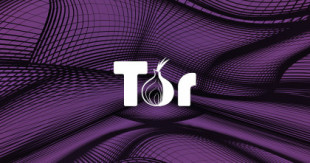 Desde al menos 2017, un usuario o grupo está gestionando cientos de servidores de Tor hackeados para desanonimizar a los usuarios de esta red (Inglés)