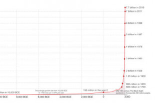 De 0 a 8.000 millones: un gráfico para entender el boom demográfico del ser humano en solo dos siglos