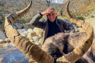 Satisfacción por matar un animal excepcional: macho montés en Gredos