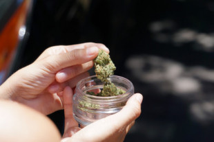Malta legaliza el consumo y el cultivo de cannabis con fines recreativos